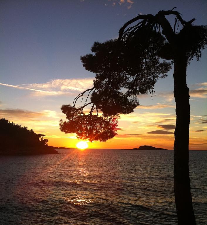 Epidaurum Apartments Cavtat Pokoj fotografie